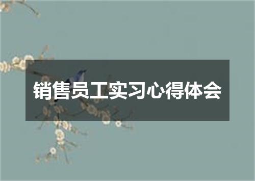 销售员工实习心得体会