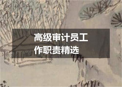 高级审计员工作职责精选