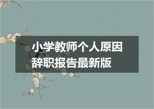 小学教师个人原因辞职报告最新版