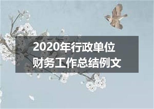 2020年行政单位财务工作总结例文