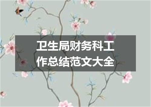 卫生局财务科工作总结范文大全