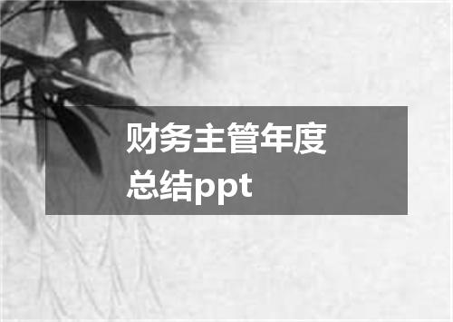 财务主管年度总结ppt