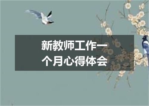 新教师工作一个月心得体会