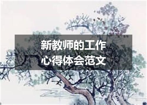 新教师的工作心得体会范文