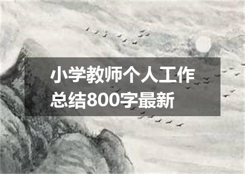 小学教师个人工作总结800字最新