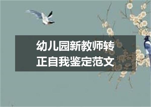幼儿园新教师转正自我鉴定范文