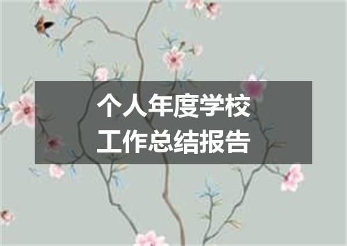 个人年度学校工作总结报告