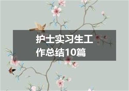 护士实习生工作总结10篇