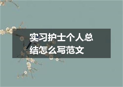 实习护士个人总结怎么写范文
