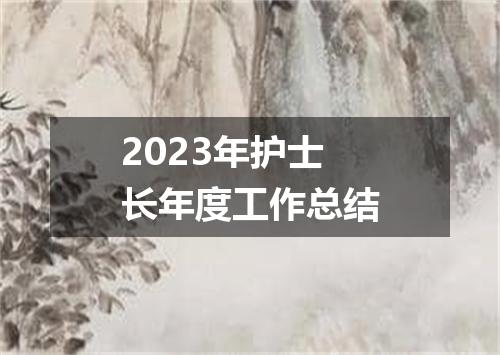 2023年护士长年度工作总结