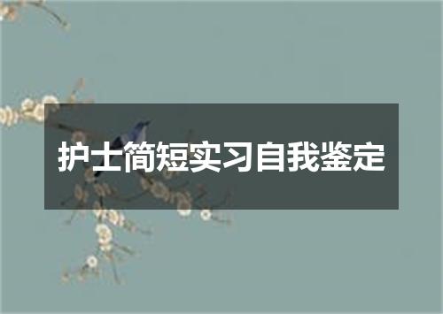 护士简短实习自我鉴定
