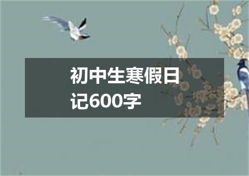 初中生寒假日记600字