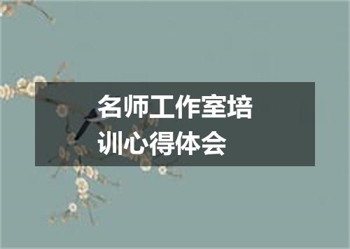 名师工作室培训心得体会