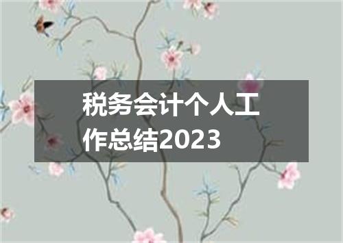 税务会计个人工作总结2023