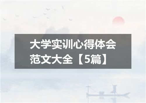 大学实训心得体会范文大全【5篇】