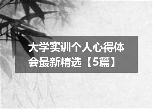 大学实训个人心得体会最新精选【5篇】