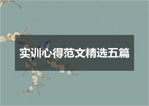 实训心得范文精选五篇