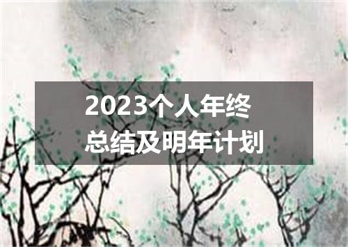 2023个人年终总结及明年计划