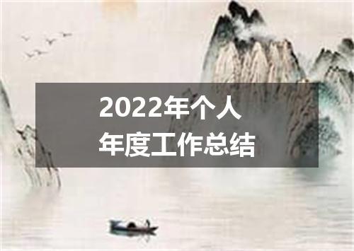 2022年个人年度工作总结