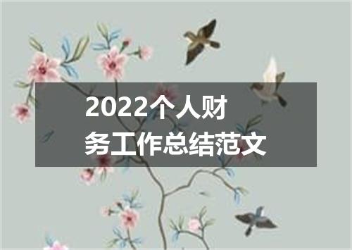2022个人财务工作总结范文