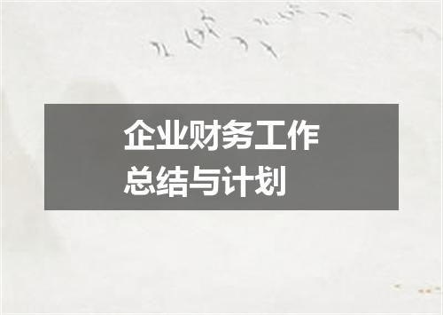 企业财务工作总结与计划