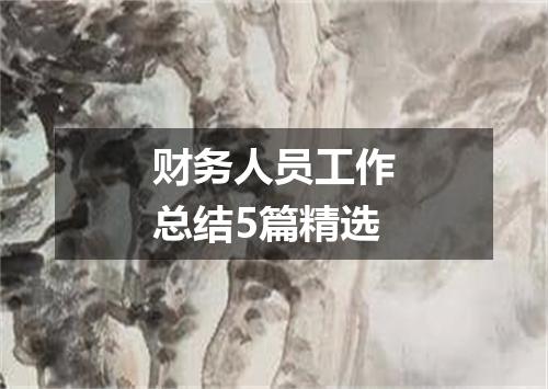 财务人员工作总结5篇精选