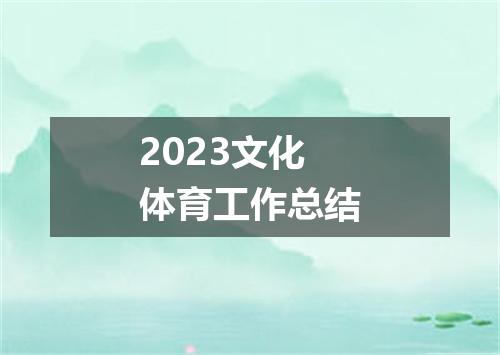 2023文化体育工作总结