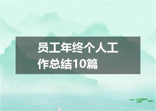 员工年终个人工作总结10篇