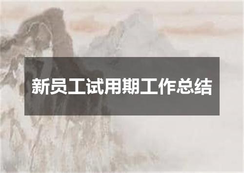 新员工试用期工作总结