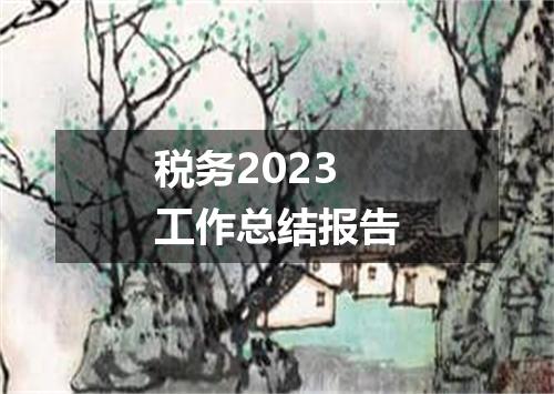 税务2023工作总结报告