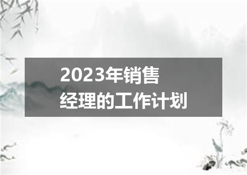 2023年销售经理的工作计划