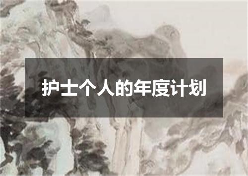 护士个人的年度计划