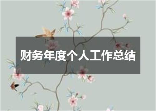 财务年度个人工作总结