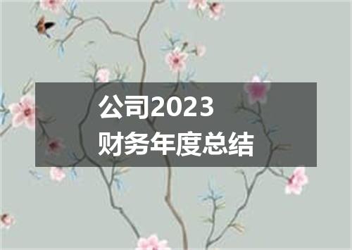公司2023财务年度总结