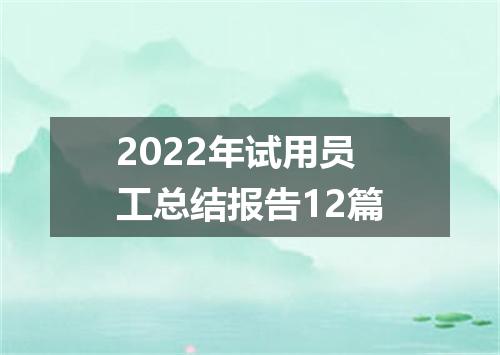 2022年试用员工总结报告12篇
