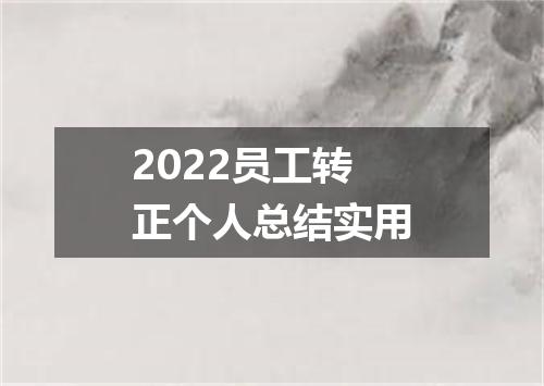 2022员工转正个人总结实用