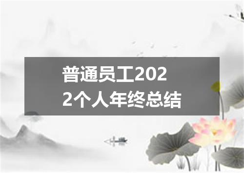 普通员工2022个人年终总结