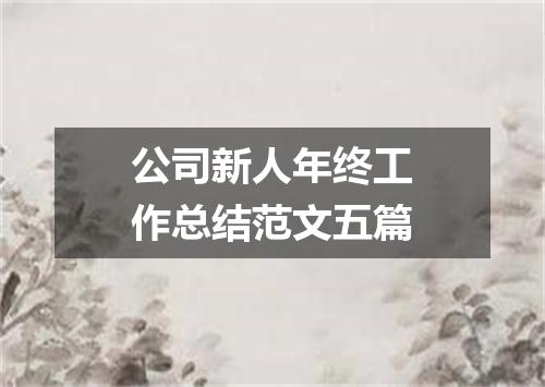 公司新人年终工作总结范文五篇