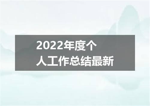 2022年度个人工作总结最新