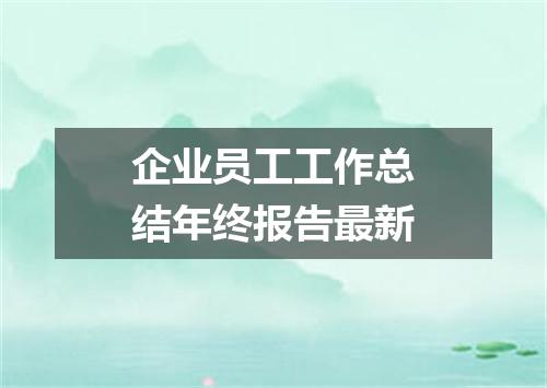 企业员工工作总结年终报告最新