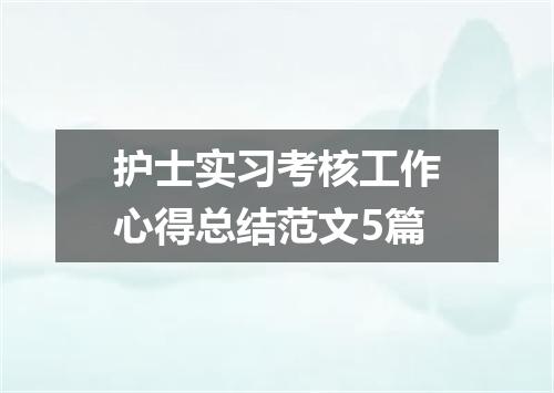 护士实习考核工作心得总结范文5篇