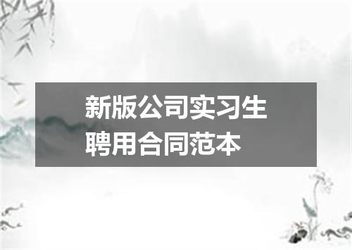 新版公司实习生聘用合同范本