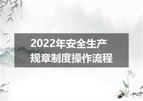 2022年安全生产规章制度操作流程