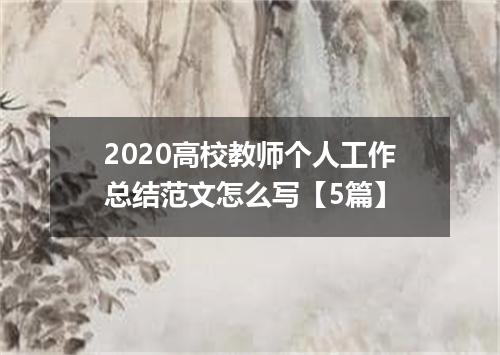 2020高校教师个人工作总结范文怎么写【5篇】