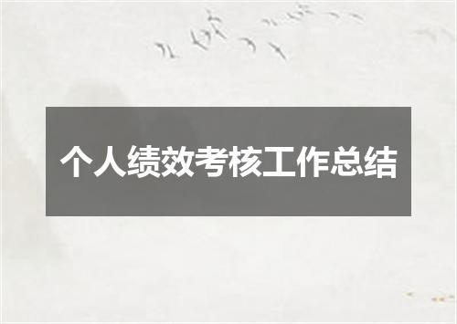 个人绩效考核工作总结