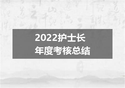 2022护士长年度考核总结