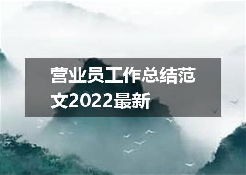 营业员工作总结范文2022最新