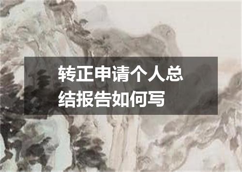 转正申请个人总结报告如何写
