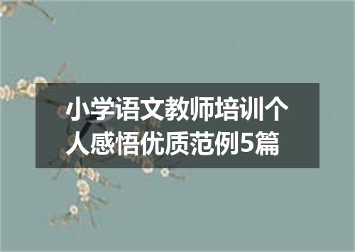 小学语文教师培训个人感悟优质范例5篇