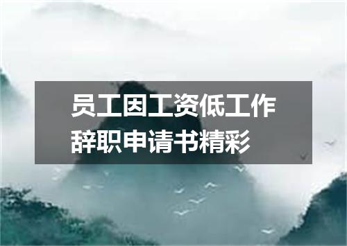 员工因工资低工作辞职申请书精彩